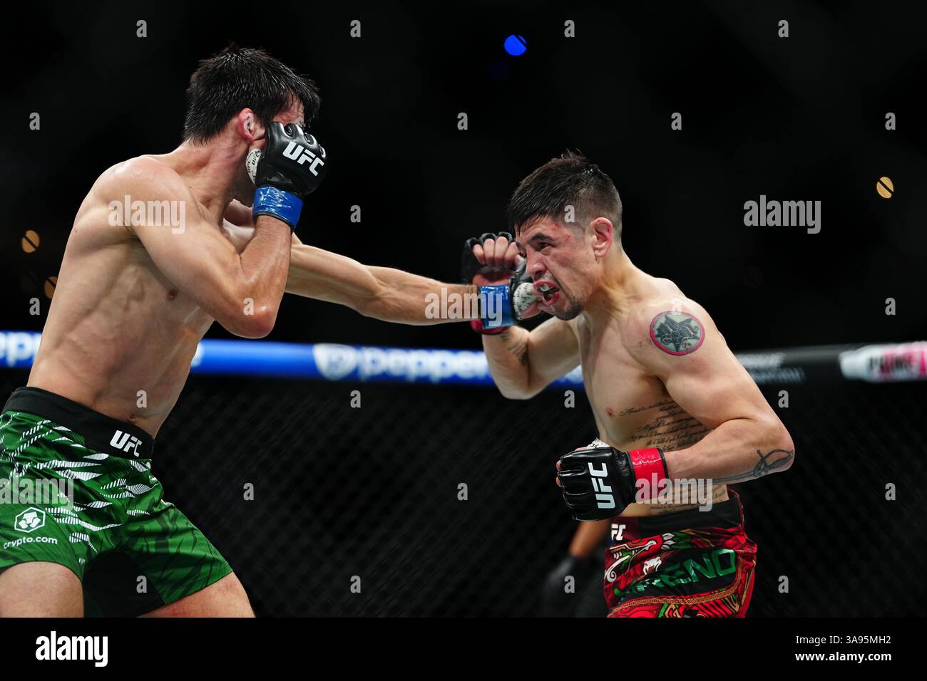 Mexico City, Mexico, United States. 29th Mar, 2025. MEXICO CITY, MEXICO - MARCH 29: Brandon Moreno and Steve Erceg meet in the octagon for a 5-round bout at UFC Fight Night - Moreno vs Erceg at Arena CDMX on March 29, 2025 in Mexico City, Mexico (Photo by Louis Grasse/PxImages) Credit: Px Images/Alamy Live News Stock Photo