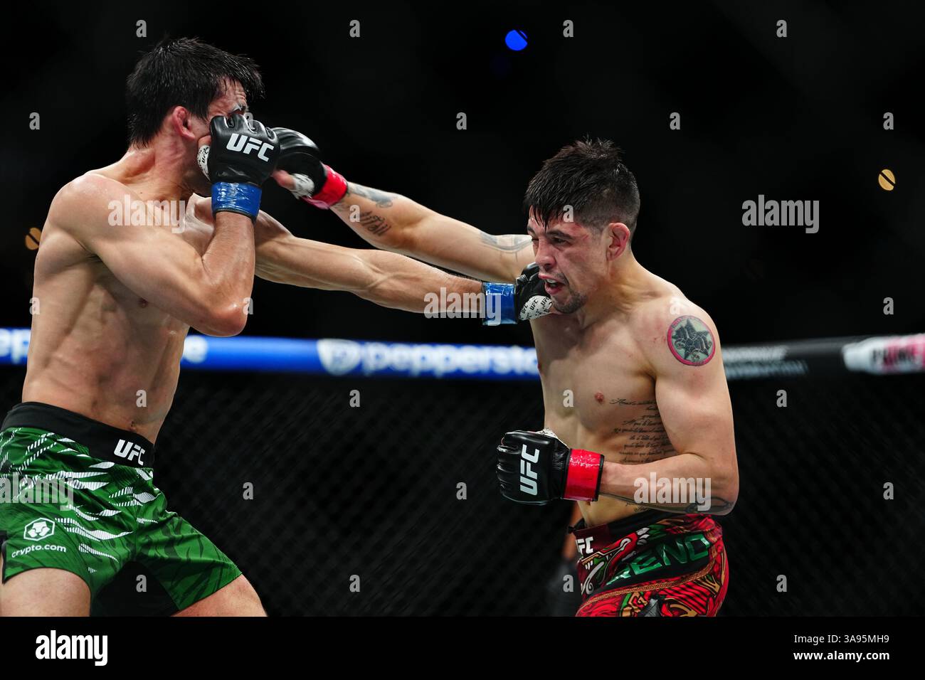 Mexico City, Mexico, United States. 29th Mar, 2025. MEXICO CITY, MEXICO - MARCH 29: Brandon Moreno and Steve Erceg meet in the octagon for a 5-round bout at UFC Fight Night - Moreno vs Erceg at Arena CDMX on March 29, 2025 in Mexico City, Mexico (Photo by Louis Grasse/PxImages) Credit: Px Images/Alamy Live News Stock Photo