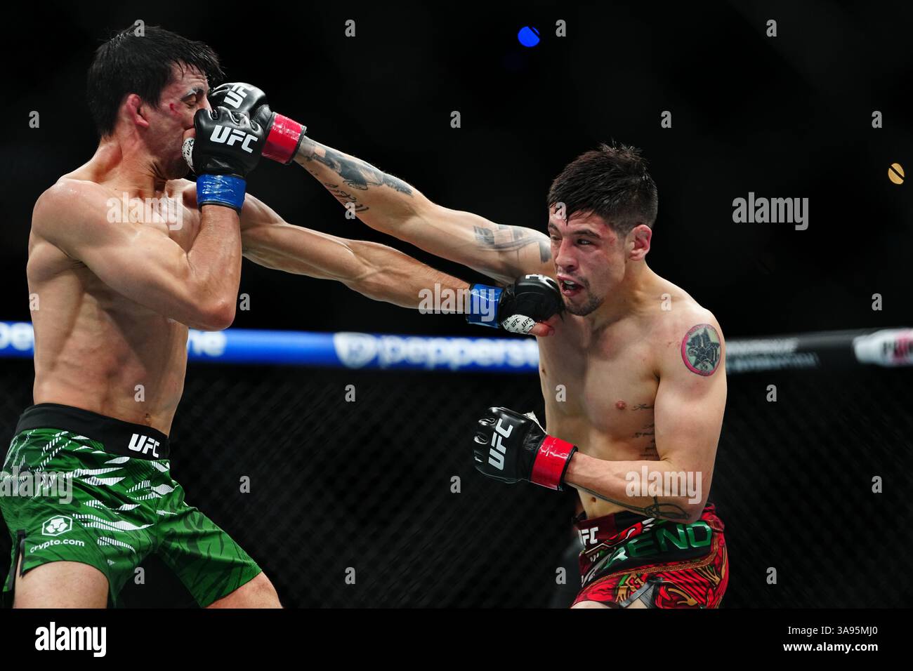 Mexico City, Mexico, United States. 29th Mar, 2025. MEXICO CITY, MEXICO - MARCH 29: Brandon Moreno and Steve Erceg meet in the octagon for a 5-round bout at UFC Fight Night - Moreno vs Erceg at Arena CDMX on March 29, 2025 in Mexico City, Mexico (Photo by Louis Grasse/PxImages) Credit: Px Images/Alamy Live News Stock Photo