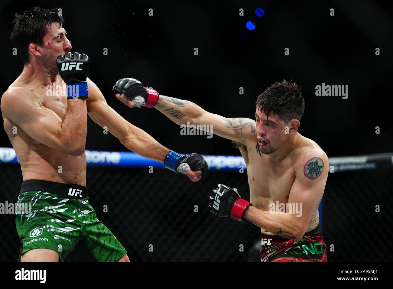 Mexico City, Mexico, United States. 29th Mar, 2025. MEXICO CITY, MEXICO - MARCH 29: Brandon Moreno and Steve Erceg meet in the octagon for a 5-round bout at UFC Fight Night - Moreno vs Erceg at Arena CDMX on March 29, 2025 in Mexico City, Mexico (Photo by Louis Grasse/PxImages) Credit: Px Images/Alamy Live News Stock Photo
