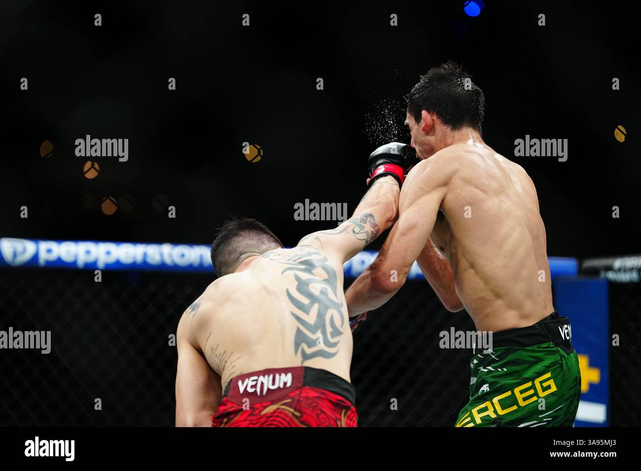 Mexico City, Mexico, United States. 29th Mar, 2025. MEXICO CITY, MEXICO - MARCH 29: Brandon Moreno and Steve Erceg meet in the octagon for a 5-round bout at UFC Fight Night - Moreno vs Erceg at Arena CDMX on March 29, 2025 in Mexico City, Mexico (Photo by Louis Grasse/PxImages) Credit: Px Images/Alamy Live News Stock Photo