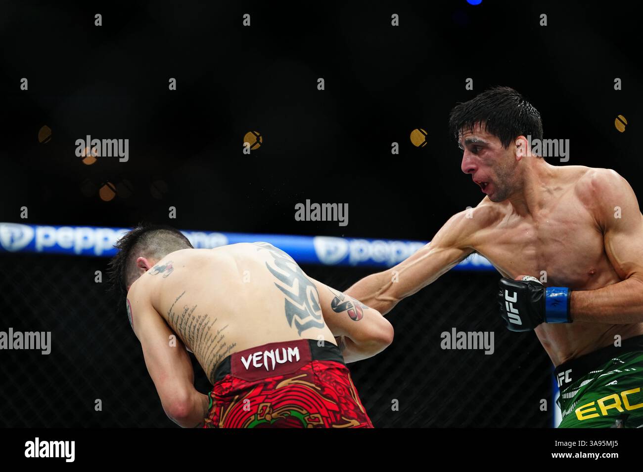 Mexico City, Mexico, United States. 29th Mar, 2025. MEXICO CITY, MEXICO - MARCH 29: Brandon Moreno and Steve Erceg meet in the octagon for a 5-round bout at UFC Fight Night - Moreno vs Erceg at Arena CDMX on March 29, 2025 in Mexico City, Mexico (Photo by Louis Grasse/PxImages) Credit: Px Images/Alamy Live News Stock Photo