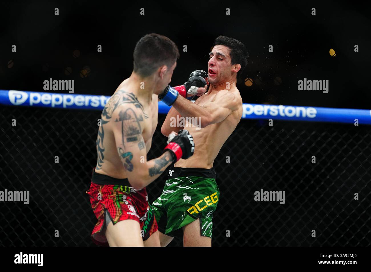 Mexico City, Mexico, United States. 29th Mar, 2025. MEXICO CITY, MEXICO - MARCH 29: Brandon Moreno and Steve Erceg meet in the octagon for a 5-round bout at UFC Fight Night - Moreno vs Erceg at Arena CDMX on March 29, 2025 in Mexico City, Mexico (Photo by Louis Grasse/PxImages) Credit: Px Images/Alamy Live News Stock Photo