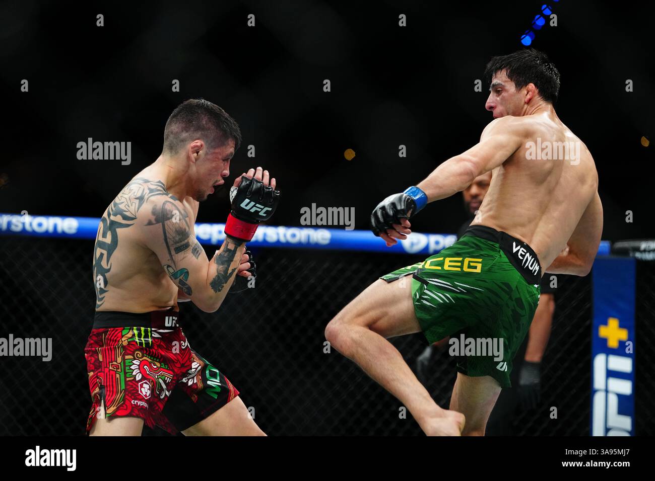 Mexico City, Mexico, United States. 29th Mar, 2025. MEXICO CITY, MEXICO - MARCH 29: Brandon Moreno and Steve Erceg meet in the octagon for a 5-round bout at UFC Fight Night - Moreno vs Erceg at Arena CDMX on March 29, 2025 in Mexico City, Mexico (Photo by Louis Grasse/PxImages) Credit: Px Images/Alamy Live News Stock Photo