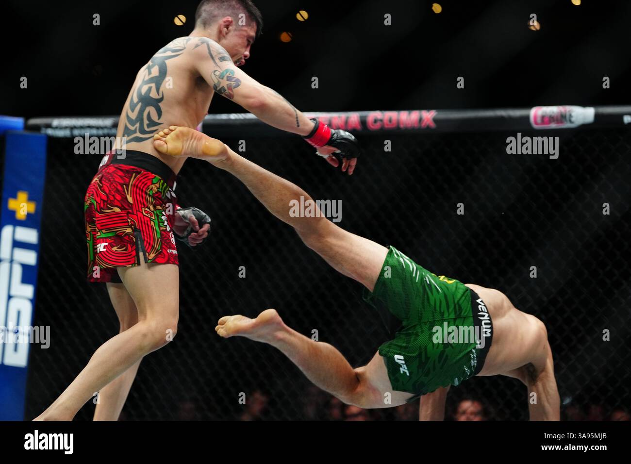 Mexico City, Mexico, United States. 29th Mar, 2025. MEXICO CITY, MEXICO - MARCH 29: Brandon Moreno and Steve Erceg meet in the octagon for a 5-round bout at UFC Fight Night - Moreno vs Erceg at Arena CDMX on March 29, 2025 in Mexico City, Mexico (Photo by Louis Grasse/PxImages) Credit: Px Images/Alamy Live News Stock Photo