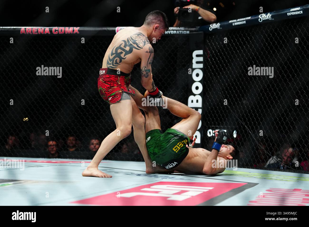 Mexico City, Mexico, United States. 29th Mar, 2025. MEXICO CITY, MEXICO - MARCH 29: Brandon Moreno and Steve Erceg meet in the octagon for a 5-round bout at UFC Fight Night - Moreno vs Erceg at Arena CDMX on March 29, 2025 in Mexico City, Mexico (Photo by Louis Grasse/PxImages) Credit: Px Images/Alamy Live News Stock Photo