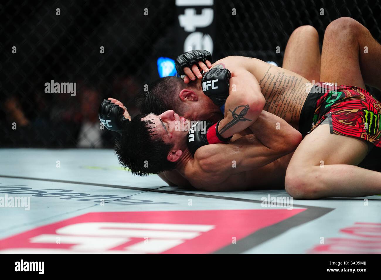 Mexico City, Mexico, United States. 29th Mar, 2025. MEXICO CITY, MEXICO - MARCH 29: Brandon Moreno and Steve Erceg meet in the octagon for a 5-round bout at UFC Fight Night - Moreno vs Erceg at Arena CDMX on March 29, 2025 in Mexico City, Mexico (Photo by Louis Grasse/PxImages) Credit: Px Images/Alamy Live News Stock Photo