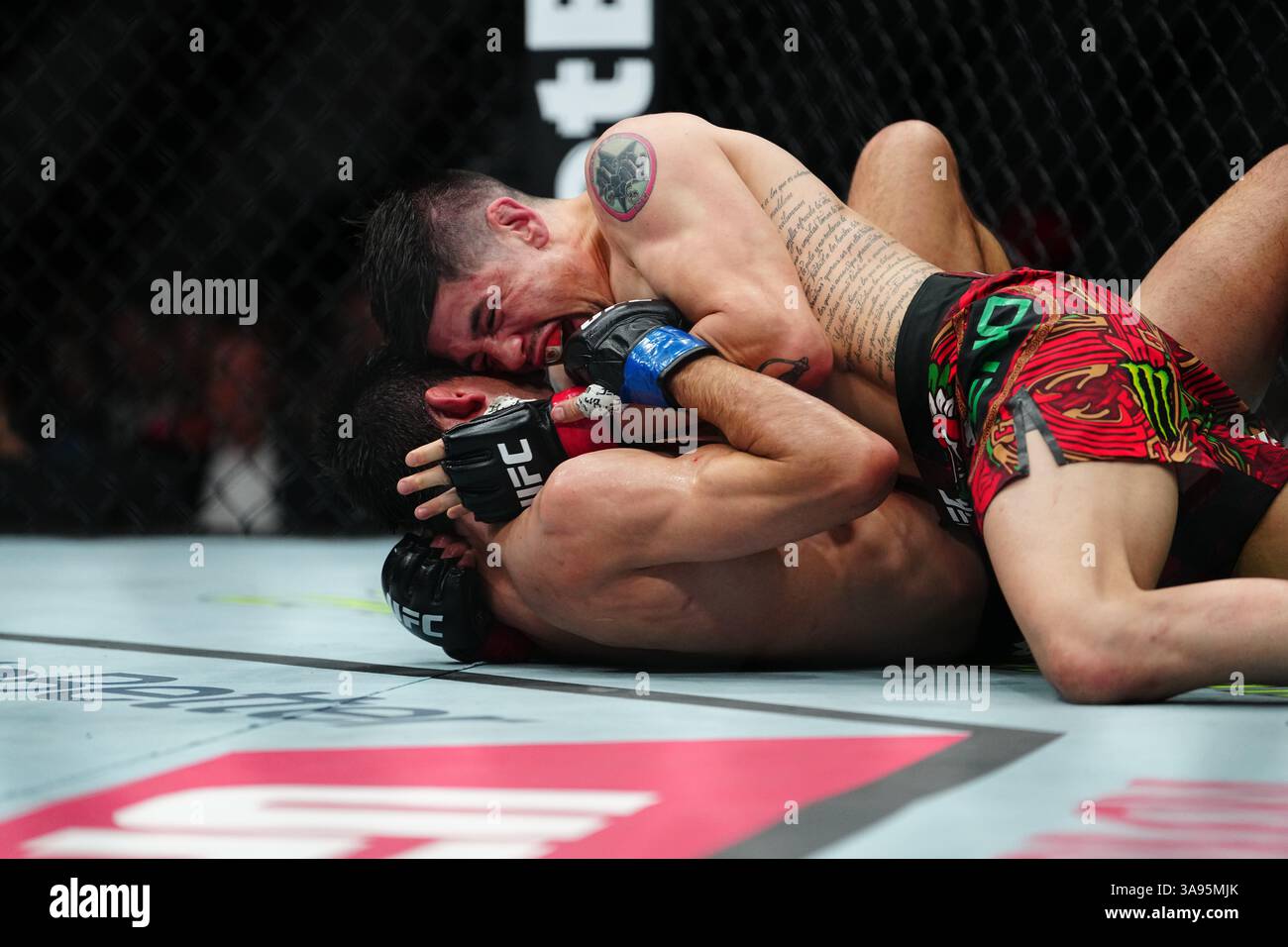 Mexico City, Mexico, United States. 29th Mar, 2025. MEXICO CITY, MEXICO - MARCH 29: Brandon Moreno and Steve Erceg meet in the octagon for a 5-round bout at UFC Fight Night - Moreno vs Erceg at Arena CDMX on March 29, 2025 in Mexico City, Mexico (Photo by Louis Grasse/PxImages) Credit: Px Images/Alamy Live News Stock Photo