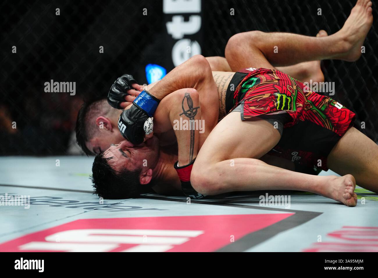 Mexico City, Mexico, United States. 29th Mar, 2025. MEXICO CITY, MEXICO - MARCH 29: Brandon Moreno and Steve Erceg meet in the octagon for a 5-round bout at UFC Fight Night - Moreno vs Erceg at Arena CDMX on March 29, 2025 in Mexico City, Mexico (Photo by Louis Grasse/PxImages) Credit: Px Images/Alamy Live News Stock Photo