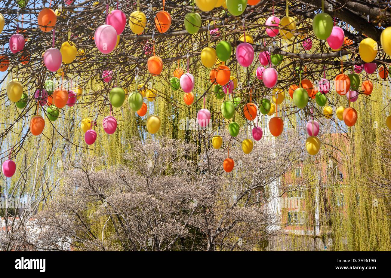 Decorative Easter eggs hanging from tree branches in horizontal format Stock Photo