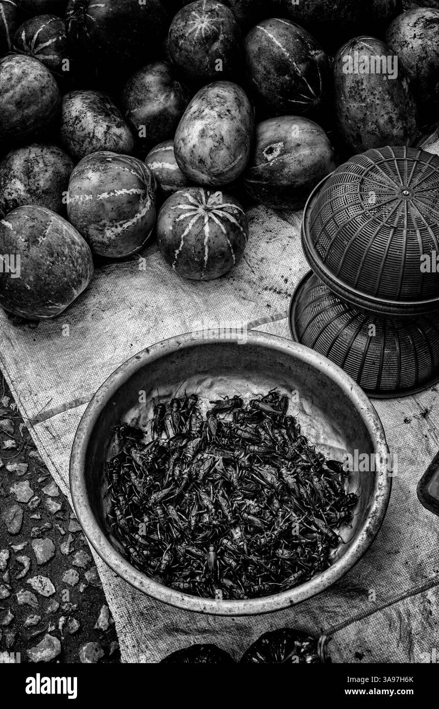 Insects food market Black and White Stock Photos & Images - Alamy