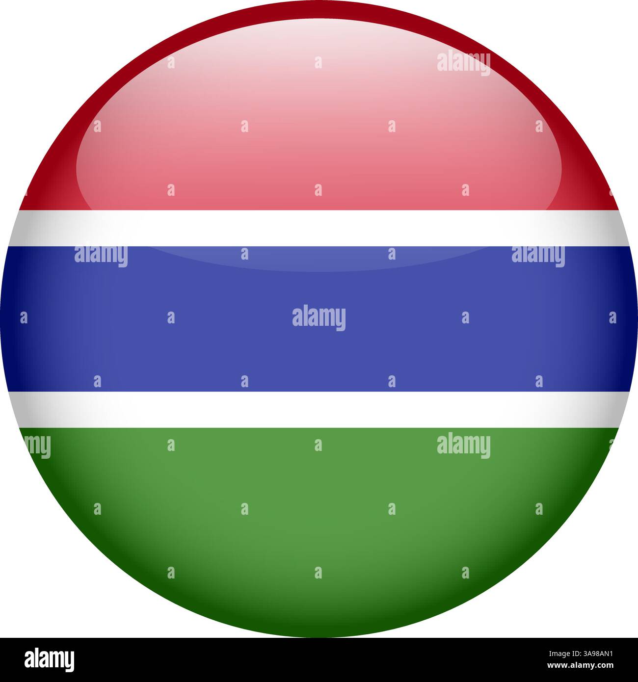 Flag Of Gambia. Gambian National Symbol In Official Colors. Template - Foto 6