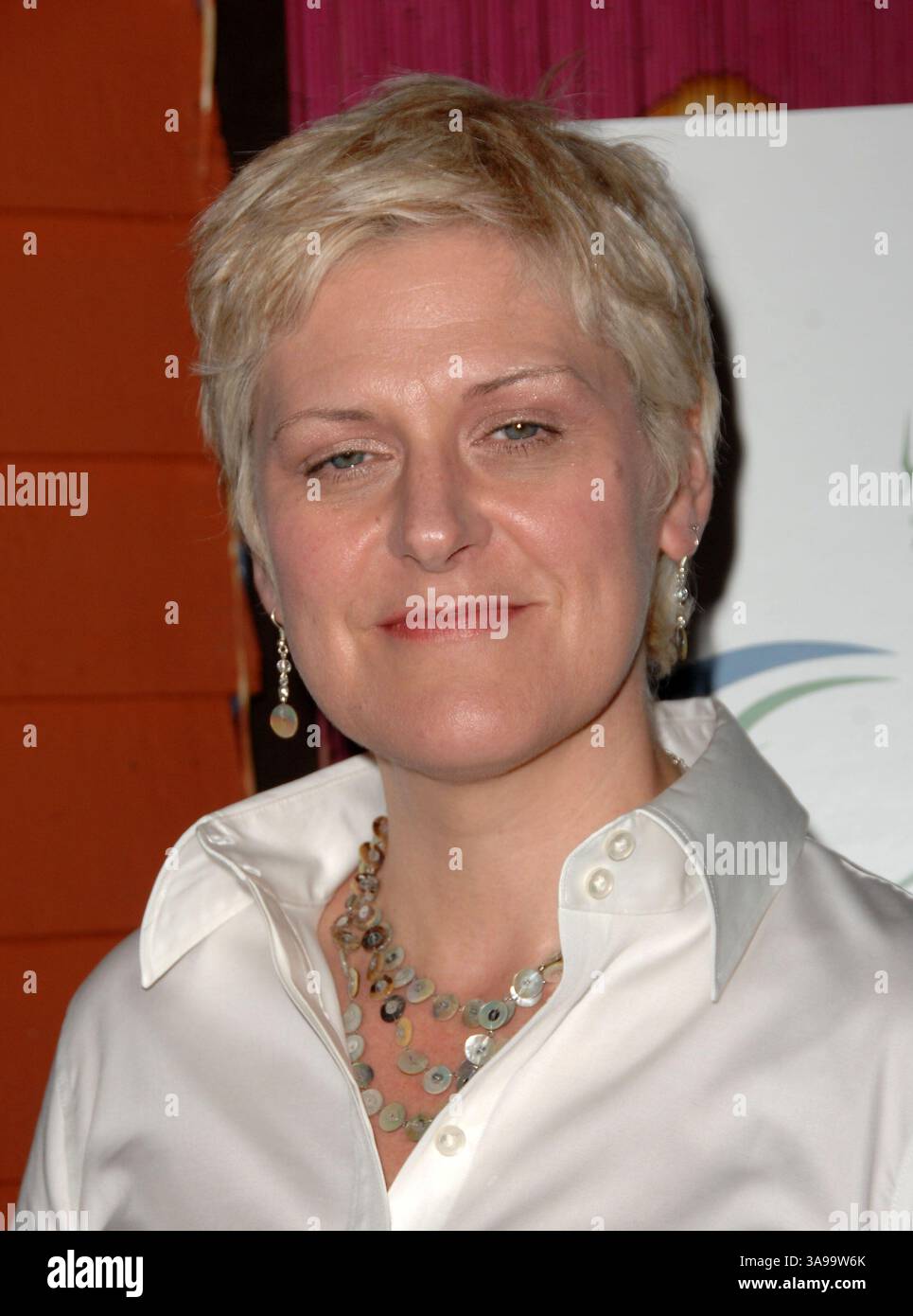 April 26, 2009 - Hollywood, California, U.S. - 26 April 2009 - Hollywood, California - Lynn Ferguson. MOTHERHOOD: A Benefit for MAaternal Fetal Care International (MFCI) hosted by Ferguson & Masterson held At cafe Des Artistes. Photo Credit: Kevan Brooks/AdMedia (Credit Image: © Kevan Brooks/AdMedia via ZUMA Wire) Stock Photo