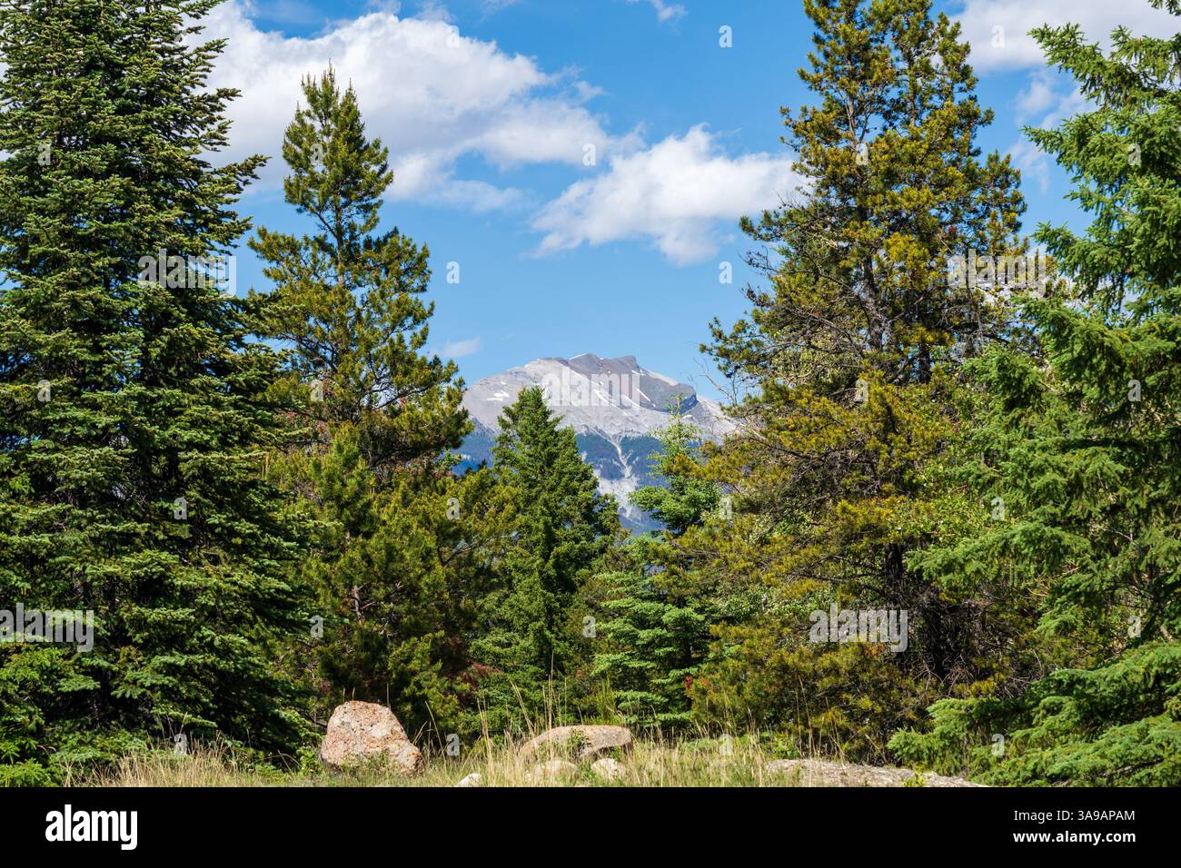 Mount Roche Bonhomme, Jasper National Park, Canadian Rockies. Alberta ...