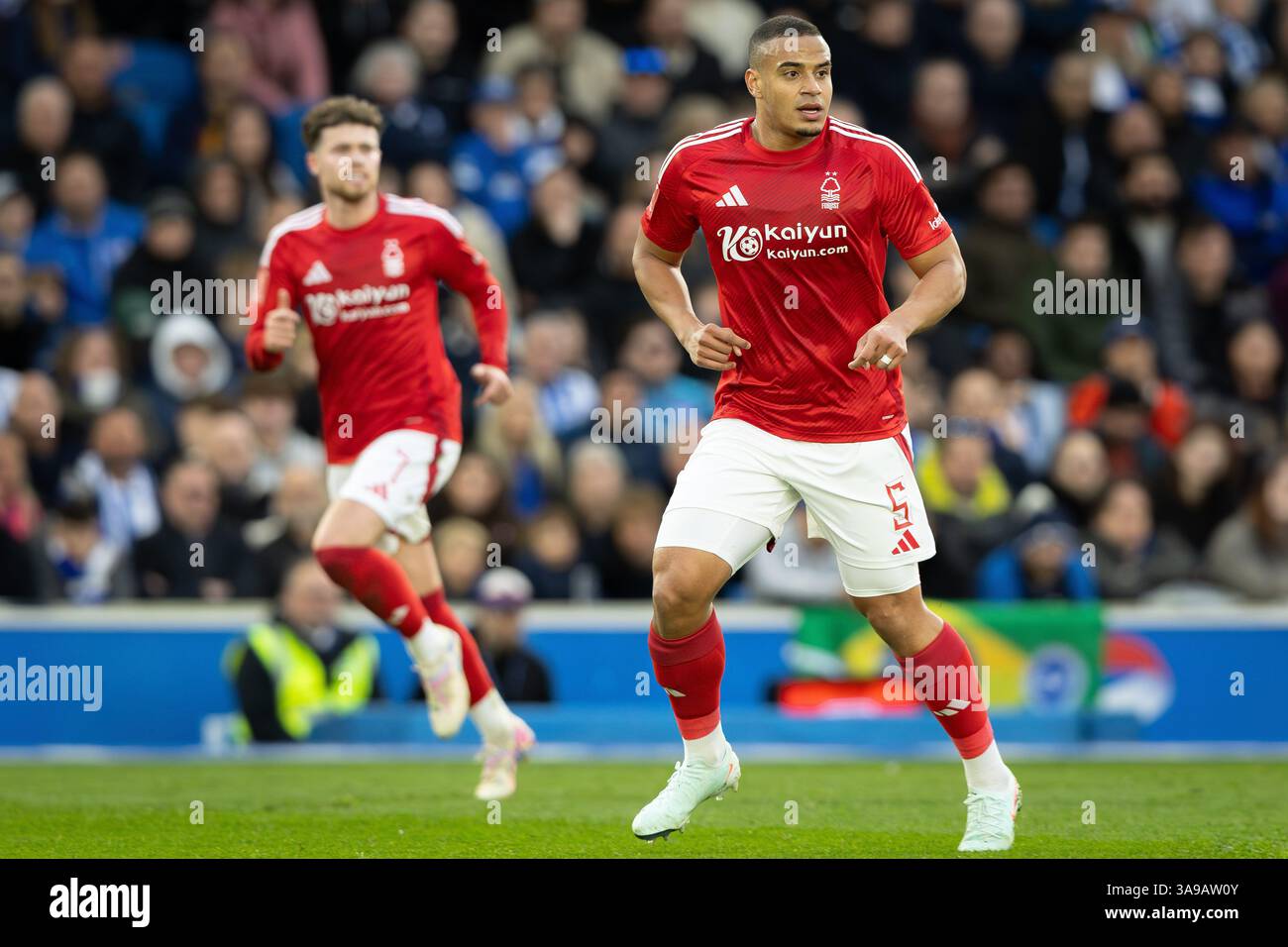 cronaca brighton & hove albion nottingham forest