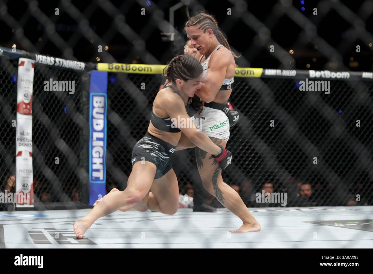 Loopy Godinez of Mexico (L)  punches Julia Polastri of Brazil  in a strawweight fight during the UFC Fight Night event at Mexico City Arena. on March 29, 2025 in Mexico City, Mexico. (Photo by Ismael Rosas/ Eyepix Group/Sipa USA) Stock Photo