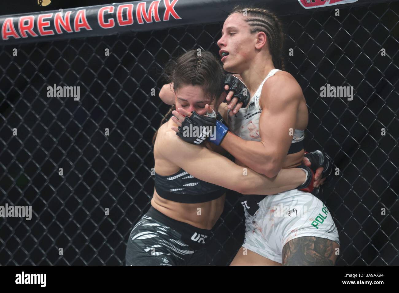 Loopy Godinez of Mexico (L)  puts a lock on Julia Polastri of Brazil  in a strawweight fight during the UFC Fight Night event at Mexico City Arena. on March 29, 2025 in Mexico City, Mexico. (Photo by Ismael Rosas/ Eyepix Group/Sipa USA) Stock Photo