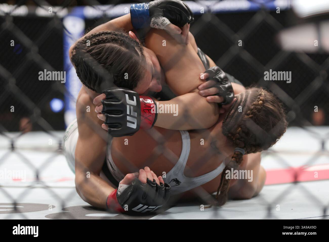 Loopy Godinez of Mexico (L)  puts a lock on Julia Polastri of Brazil  in a strawweight fight during the UFC Fight Night event at Mexico City Arena. on March 29, 2025 in Mexico City, Mexico. (Photo by Ismael Rosas/ Eyepix Group/Sipa USA) Stock Photo
