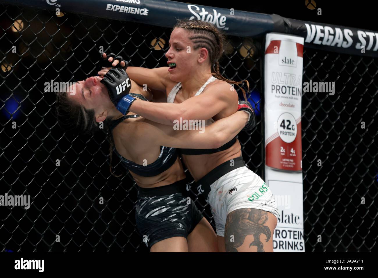 Mexico City, Mexico. 30th Mar, 2025. Julia Polastri of Brazil (R) punches Loopy Godinez of Mexico in a strawweight fight during the UFC Fight Night event at Mexico City Arena. on March 29, 2025 in Mexico City, Mexico. (Photo by Ismael Rosas/ Eyepix Group/Sipa USA) Credit: Sipa USA/Alamy Live News Stock Photo
