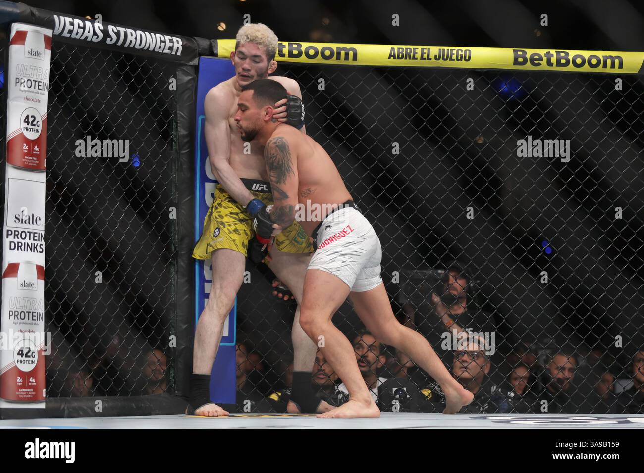 Mexico City, Mexico. 30th Mar, 2025. Christian Rodriguez of Mexico (L) grapples Melquizael Costa of Brazil in a featherweight fight during the UFC Fight Night event at Mexico City Arena. on March 29, 2025 in Mexico City, Mexico. (Photo by Ismael Rosas/ Eyepix Group/Sipa USA) Credit: Sipa USA/Alamy Live News Stock Photo