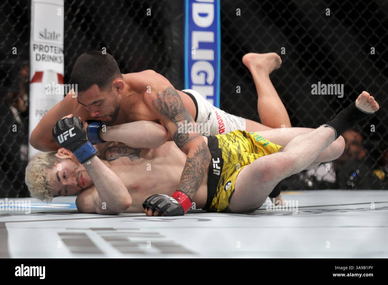 Christian Rodriguez of Mexico (R) grapples Melquizael Costa of Brazil in a featherweight fight during the UFC Fight Night event at Mexico City Arena. on March 29, 2025 in Mexico City, Mexico. (Photo by Ismael Rosas/ Eyepix Group/Sipa USA) Stock Photo