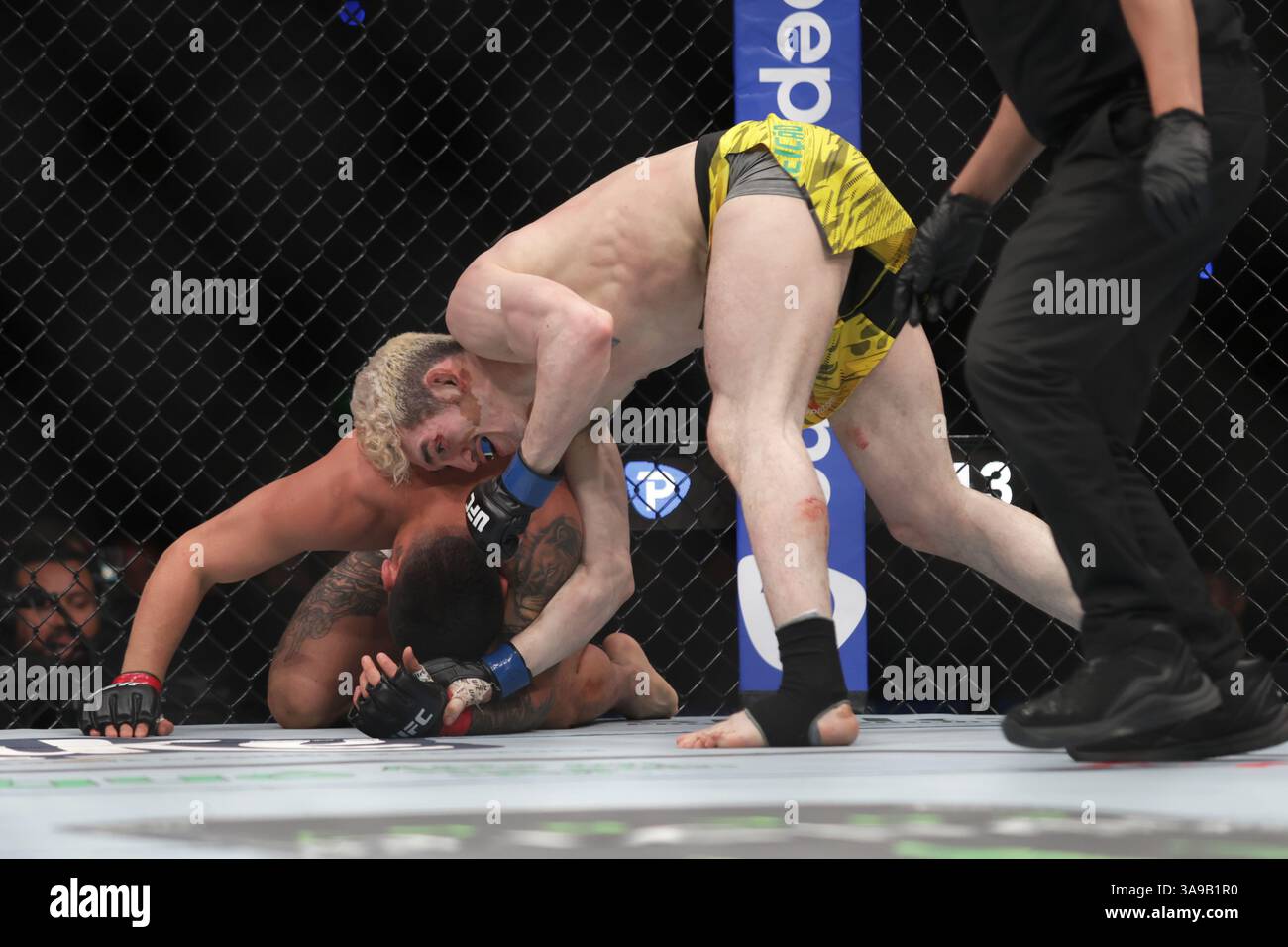 Christian Rodriguez of Mexico (L) grapples Melquizael Costa of Brazil in a featherweight fight during the UFC Fight Night event at Mexico City Arena. on March 29, 2025 in Mexico City, Mexico. (Photo by Ismael Rosas/ Eyepix Group/Sipa USA) Stock Photo