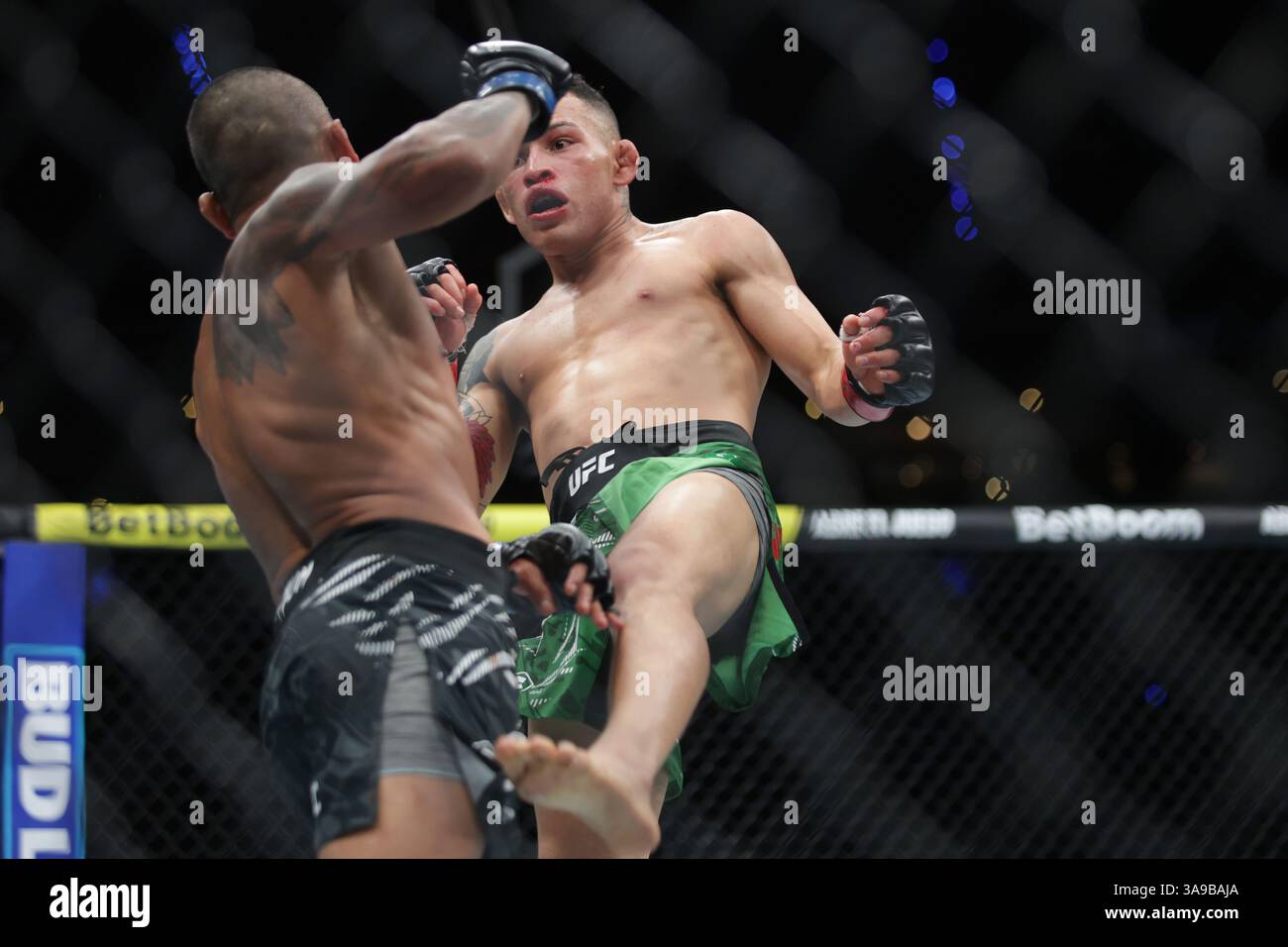 Mexico City, Mexico. 30th Mar, 2025. Ronaldo Rodriguez of Mexico (R) kicks Kevin Borjas of Peru in a flyweight fight during the UFC Fight Night event at Mexico City Arena. on March 29, 2025 in Mexico City, Mexico. (Photo by Ismael Rosas/ Eyepix Group/Sipa USA) Credit: Sipa USA/Alamy Live News Stock Photo