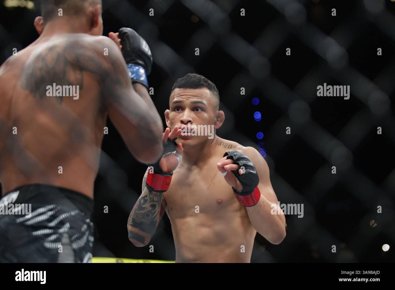 Mexico City, Mexico. 30th Mar, 2025. Ronaldo Rodriguez of Mexico reacts against Kevin Borjas of Peru in a flyweight fight during the UFC Fight Night event at Mexico City Arena. on March 29, 2025 in Mexico City, Mexico. (Photo by Ismael Rosas/ Eyepix Group/Sipa USA) Credit: Sipa USA/Alamy Live News Stock Photo