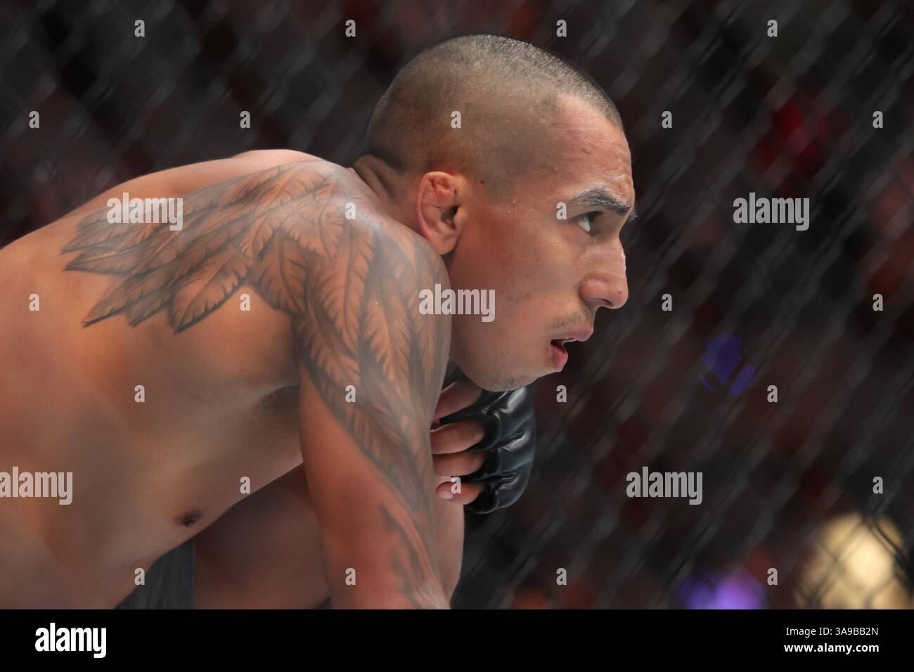 Mexico City, Mexico. 30th Mar, 2025. Kevin Borjas of Peru reacts against Ronaldo Rodriguez of Mexico in a flyweight fight during the UFC Fight Night event at Mexico City Arena. on March 29, 2025 in Mexico City, Mexico. (Photo by Ismael Rosas/ Eyepix Group/Sipa USA) Credit: Sipa USA/Alamy Live News Stock Photo