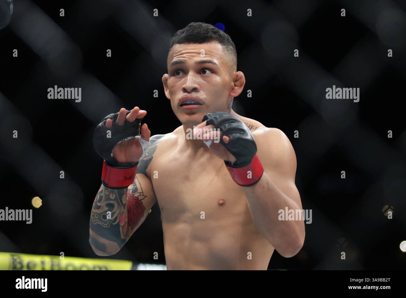 Mexico City, Mexico. 30th Mar, 2025. Ronaldo Rodriguez of Mexico reacts against Kevin Borjas of Peru in a flyweight fight during the UFC Fight Night event at Mexico City Arena. on March 29, 2025 in Mexico City, Mexico. (Photo by Ismael Rosas/ Eyepix Group/Sipa USA) Credit: Sipa USA/Alamy Live News Stock Photo