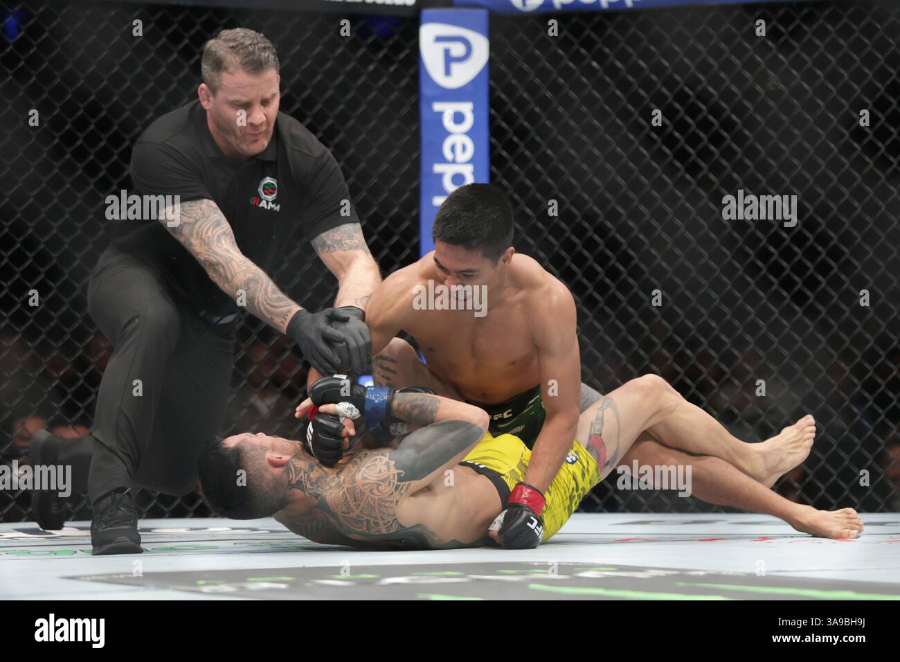 David Martinez of Mexico (R) punches Saimon Oliveira of Brazil (L) in a bantamweight fight during the UFC Fight Night event at Mexico City Arena. on March 29, 2025 in Mexico City, Mexico. (Photo by Ismael Rosas/ Eyepix Group/Sipa USA) Stock Photo