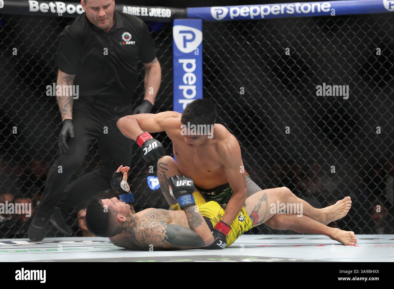 David Martinez of Mexico (R) punches Saimon Oliveira of Brazil (L) in a bantamweight fight during the UFC Fight Night event at Mexico City Arena. on March 29, 2025 in Mexico City, Mexico. (Photo by Ismael Rosas/ Eyepix Group/Sipa USA) Stock Photo