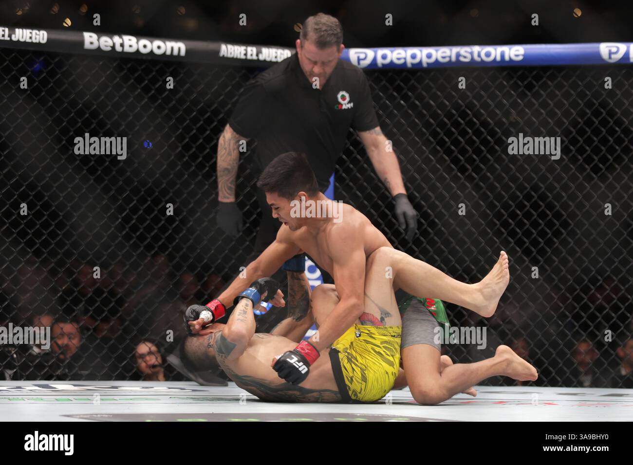 David Martinez of Mexico (R) punches Saimon Oliveira of Brazil (L) in a bantamweight fight during the UFC Fight Night event at Mexico City Arena. on March 29, 2025 in Mexico City, Mexico. (Photo by Ismael Rosas/ Eyepix Group/Sipa USA) Stock Photo