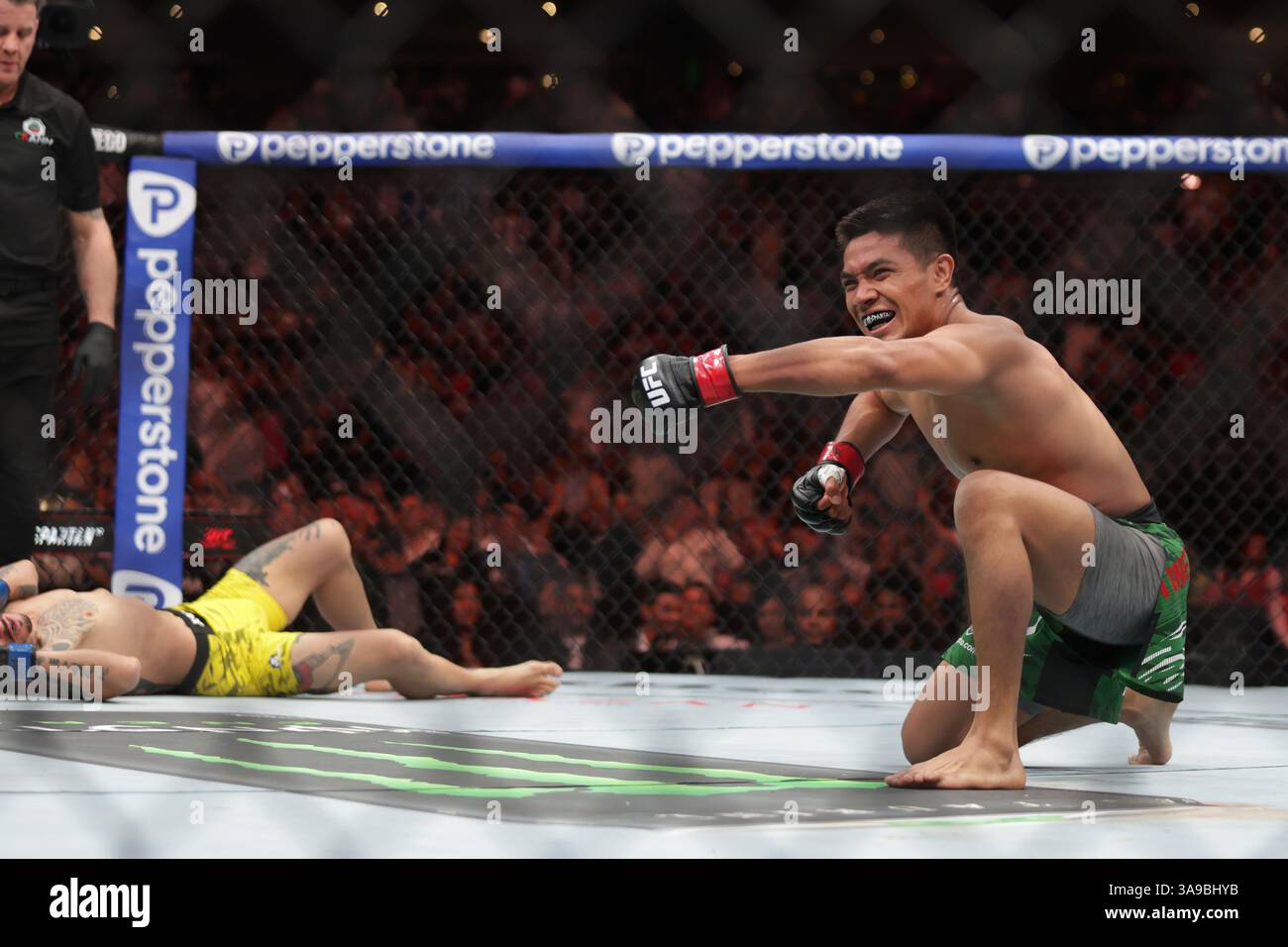 David Martinez of Mexico  reacts after victory against  Saimon Oliveira of Brazil  in a bantamweight fight during the UFC Fight Night event at Mexico City Arena. on March 29, 2025 in Mexico City, Mexico. (Photo by Ismael Rosas/ Eyepix Group/Sipa USA) Stock Photo