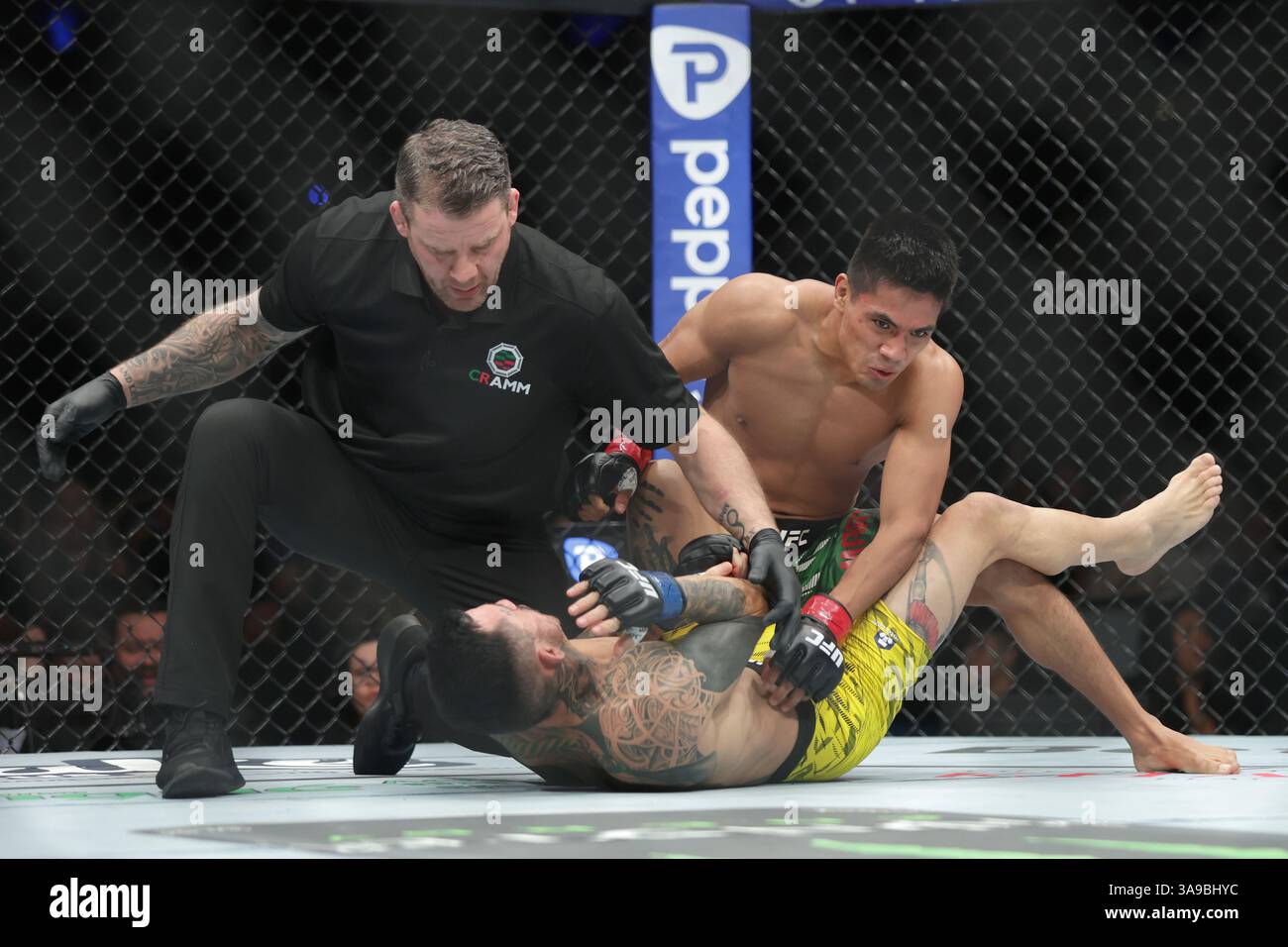 David Martinez of Mexico (R) punches Saimon Oliveira of Brazil (L) in a bantamweight fight during the UFC Fight Night event at Mexico City Arena. on March 29, 2025 in Mexico City, Mexico. (Photo by Ismael Rosas/ Eyepix Group/Sipa USA) Stock Photo