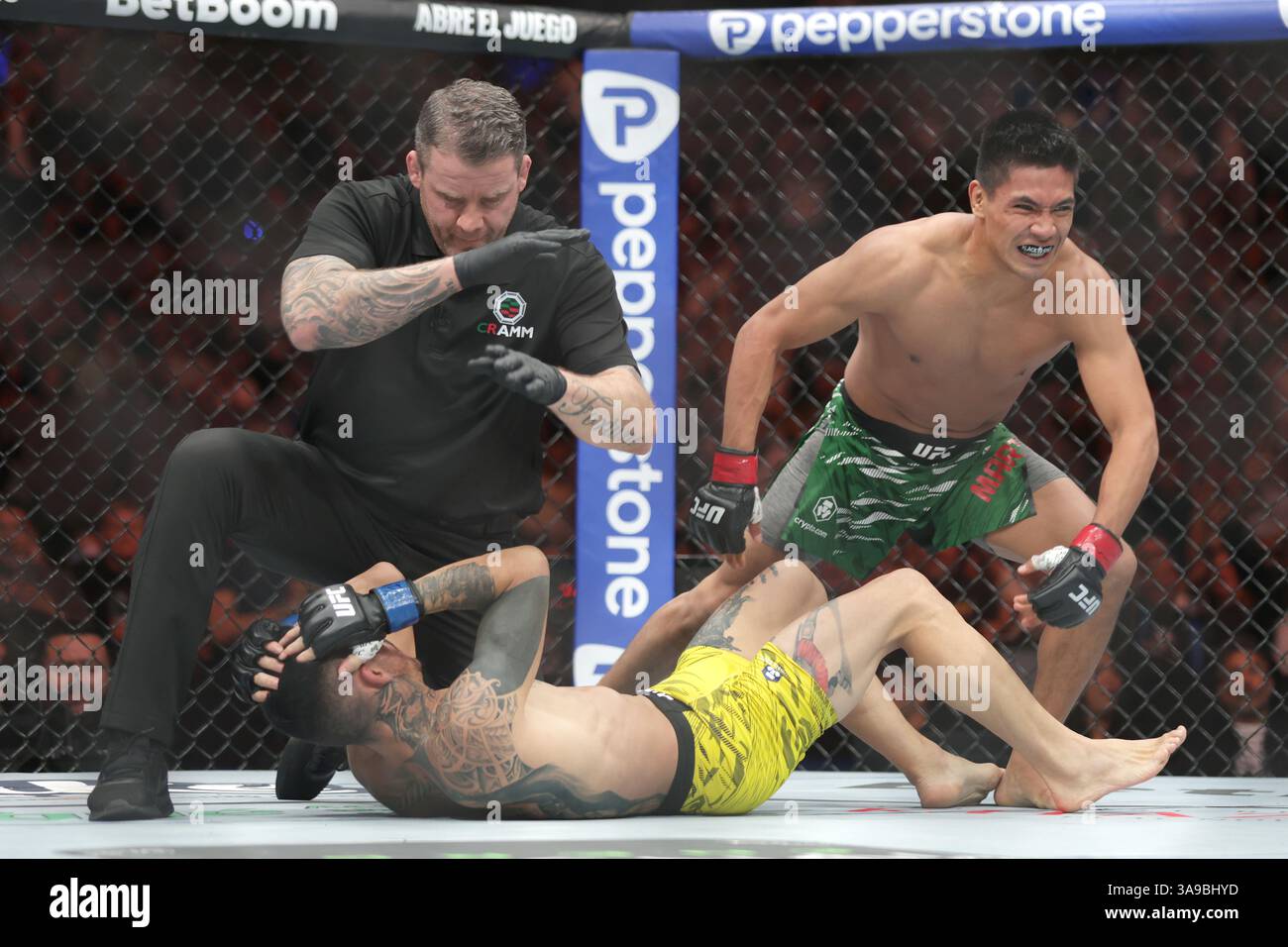 David Martinez of Mexico (R) reacts after victory against  Saimon Oliveira of Brazil (L) in a bantamweight fight during the UFC Fight Night event at Mexico City Arena. on March 29, 2025 in Mexico City, Mexico. (Photo by Ismael Rosas/ Eyepix Group/Sipa USA) Stock Photo