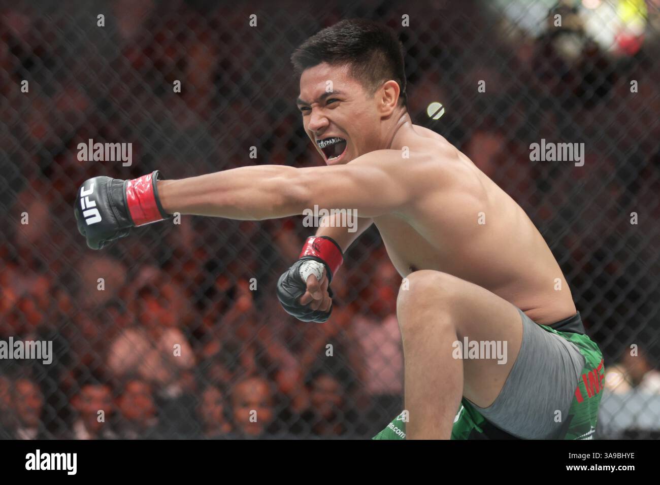 David Martinez of Mexico  reacts after victory against  Saimon Oliveira of Brazil  in a bantamweight fight during the UFC Fight Night event at Mexico City Arena. on March 29, 2025 in Mexico City, Mexico. (Photo by Ismael Rosas/ Eyepix Group/Sipa USA) Stock Photo