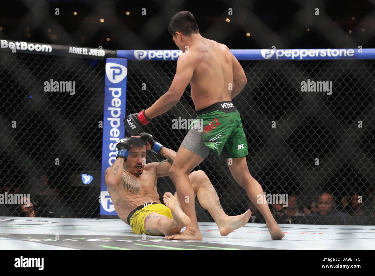 David Martinez of Mexico (R) drops Saimon Oliveira of Brazil (L) in a bantamweight fight during the UFC Fight Night event at Mexico City Arena. on March 29, 2025 in Mexico City, Mexico. (Photo by Ismael Rosas/ Eyepix Group/Sipa USA) Stock Photo