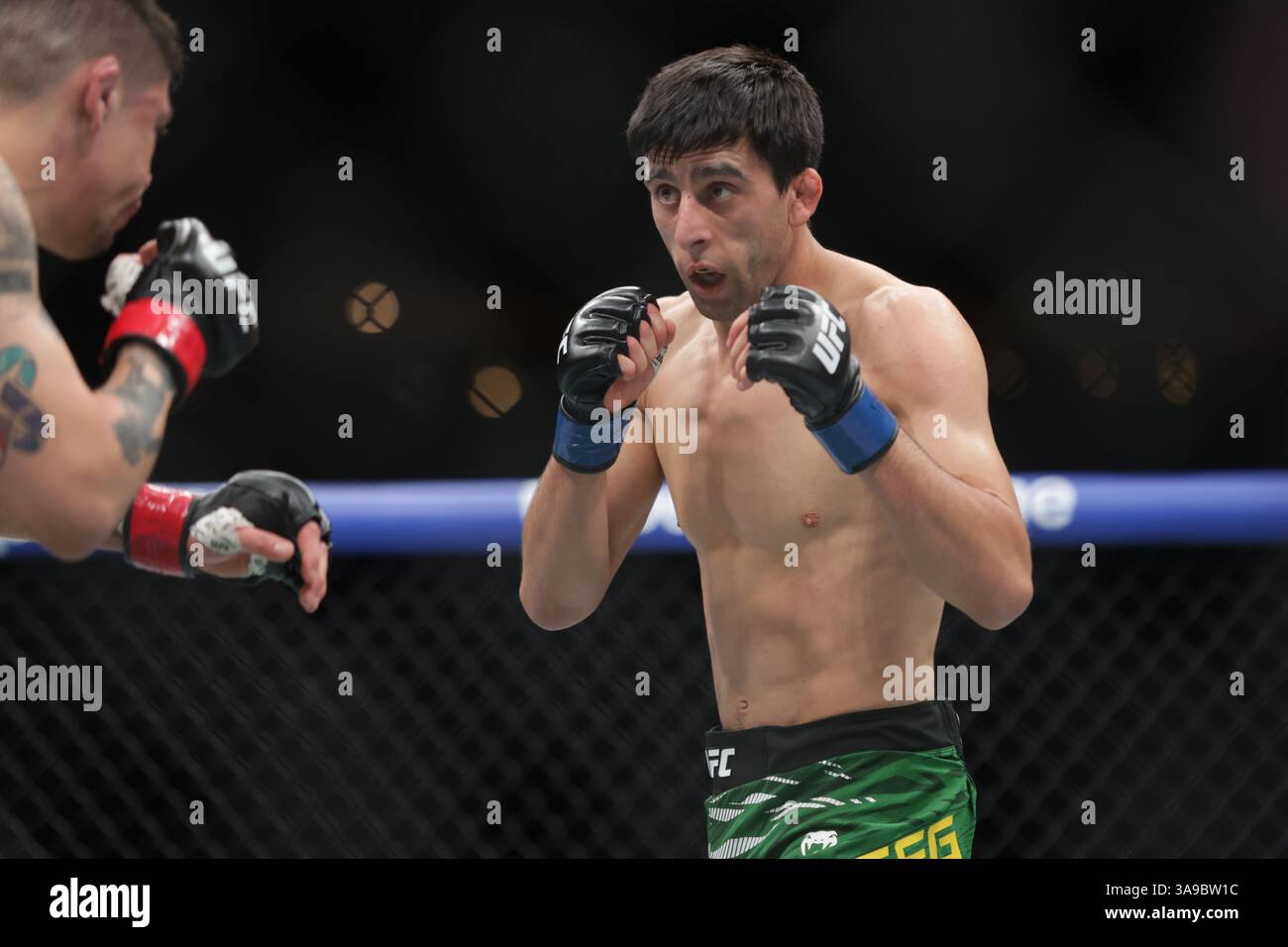 Mexico City, Mexico. 30th Mar, 2025. Steve Erceg of Australia (R) faces Brandon Moreno of Mexico in a flyweight fight during the UFC Fight Night event at Mexico City Arena. on March 29, 2025 in Mexico City, Mexico. (Photo by Ismael Rosas/ Eyepix Group/Sipa USA) Credit: Sipa USA/Alamy Live News Stock Photo