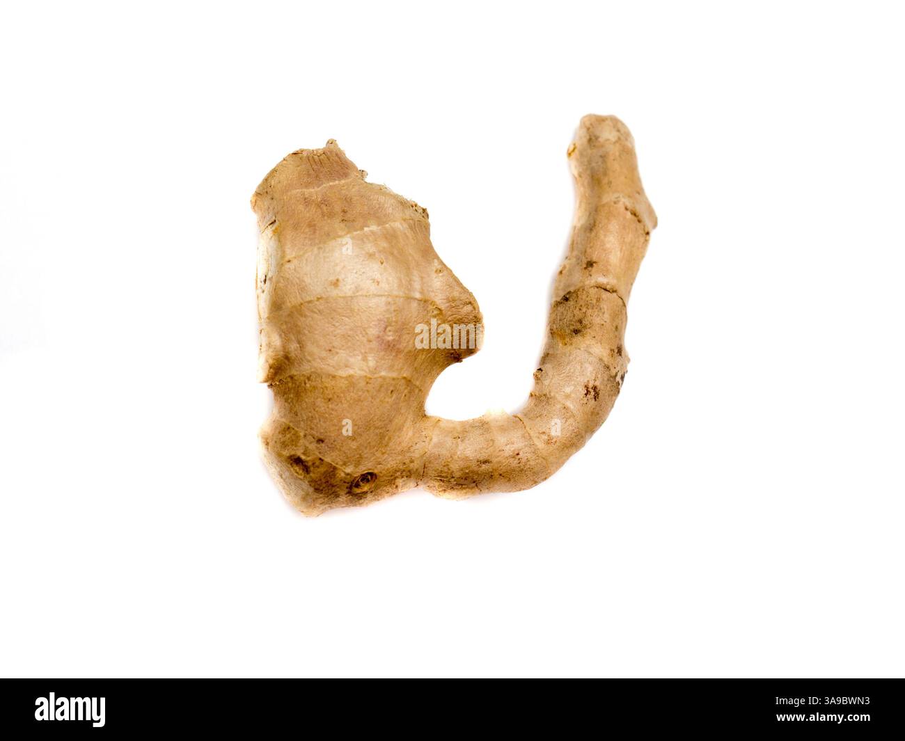 Ginger isolated on a white background. Stock Photo
