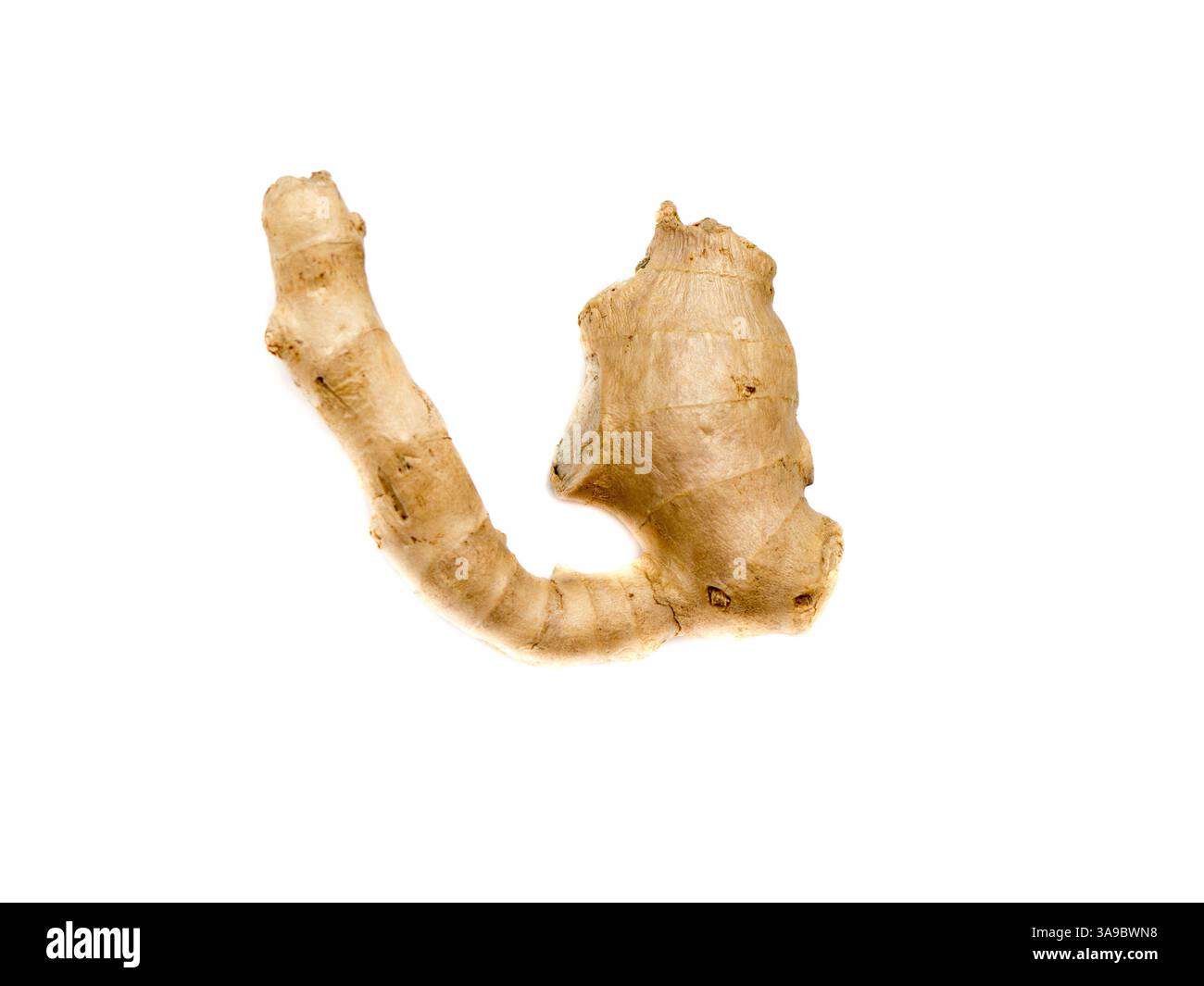 Ginger isolated on a white background. Stock Photo
