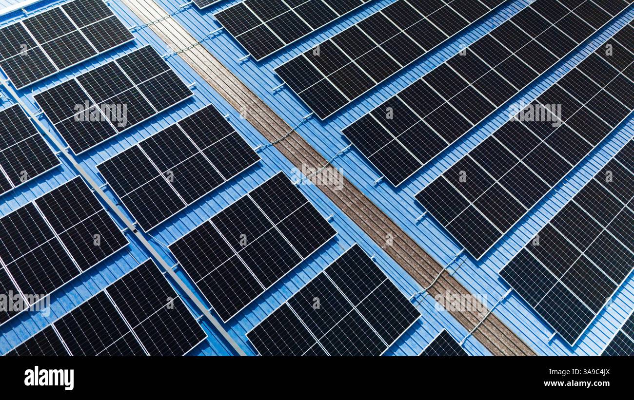 Solar cell or Solar Panel Modern technology for energy revolution, Alternative power source to saving environment, Photovoltaic module. Stock Photo