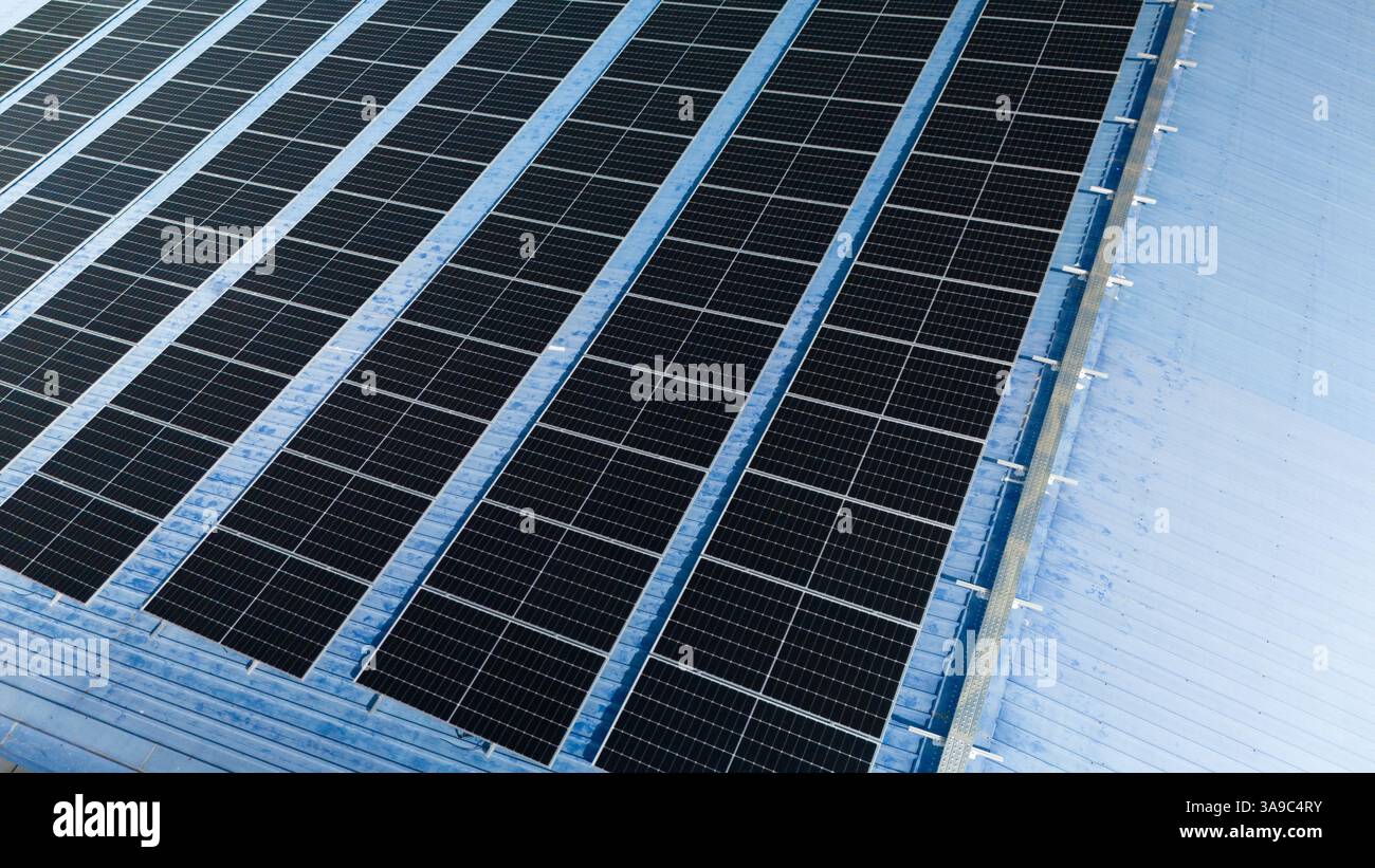 Solar cell or Solar Panel Modern technology for energy revolution, Alternative power source to saving environment, Photovoltaic module. Stock Photo