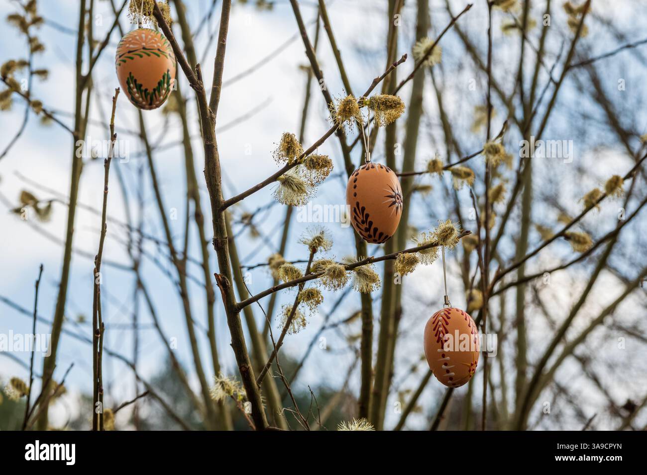 Three Traditional Wax-Painted Easter Eggs Hanging on Willow Branches, horizontal Stock Photo