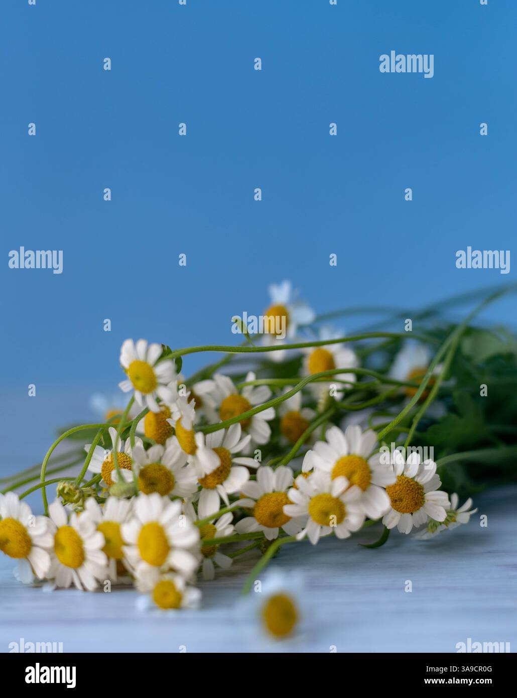 easter decorations and flowers Stock Photo