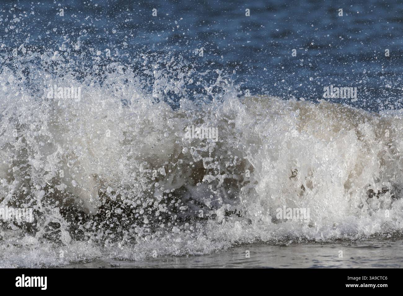 Ocean wave splashing on the shore of the beach Stock Photo - Alamy