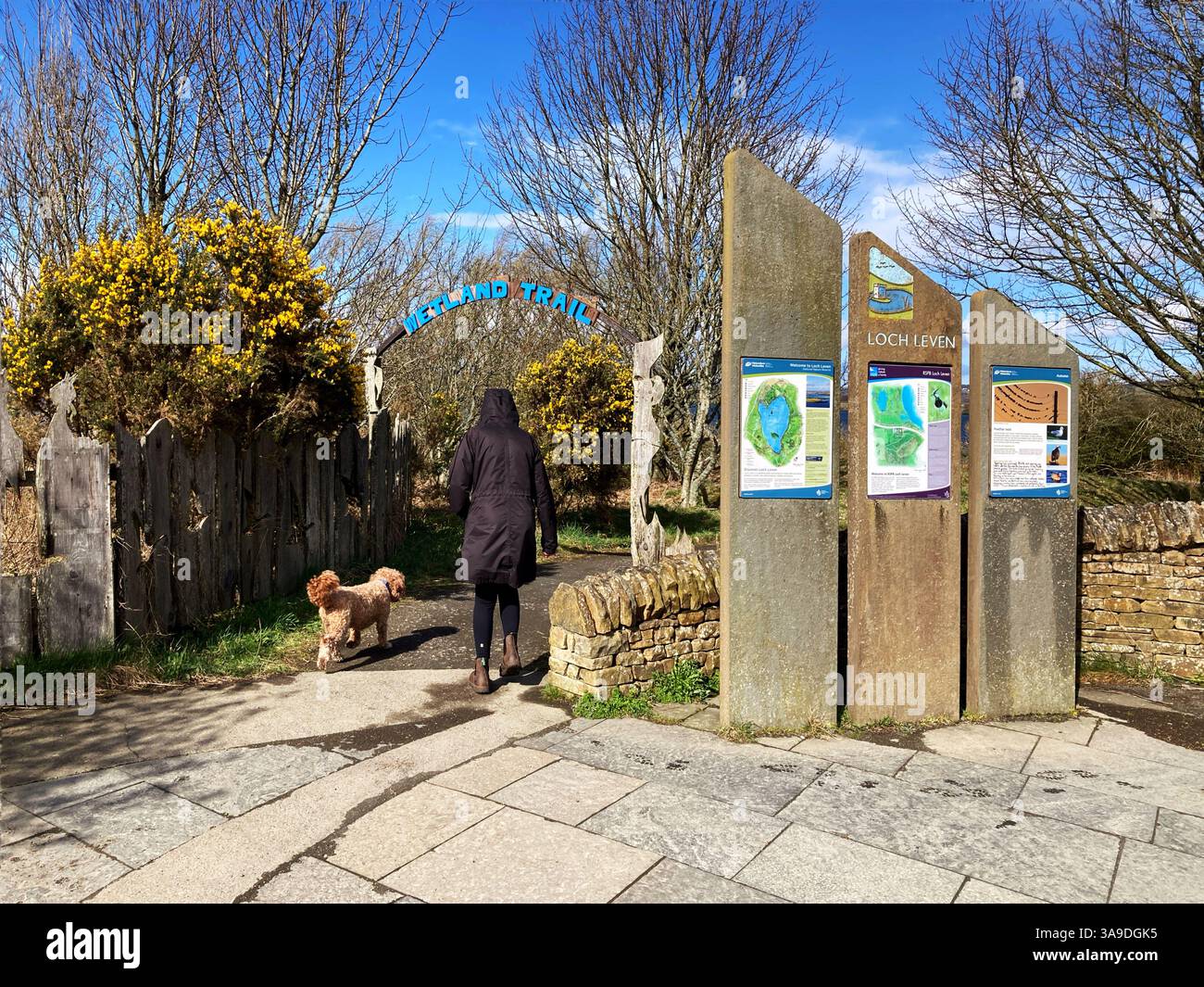 Walker and dog entering the Wetland Trail at RSPB Loch Leven National Nature Reserve, Kinross, Scotland - Smartphone Captured Stock Image