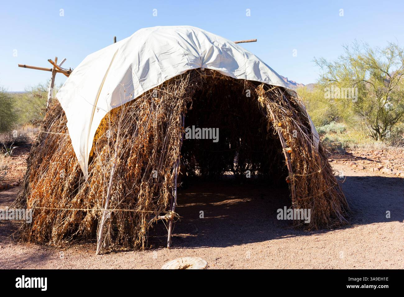 Native American Traditional Dwelling: Wigwam House, Home in Desert, Blue Sky and Bushes on Background. No People. Nature in USA. Building Structure.  Stock Photo