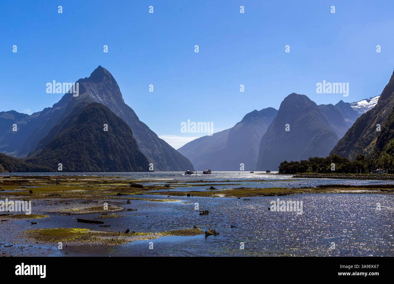 Amazing natural landscapes in Milford Sound, Fiordland National Park ...