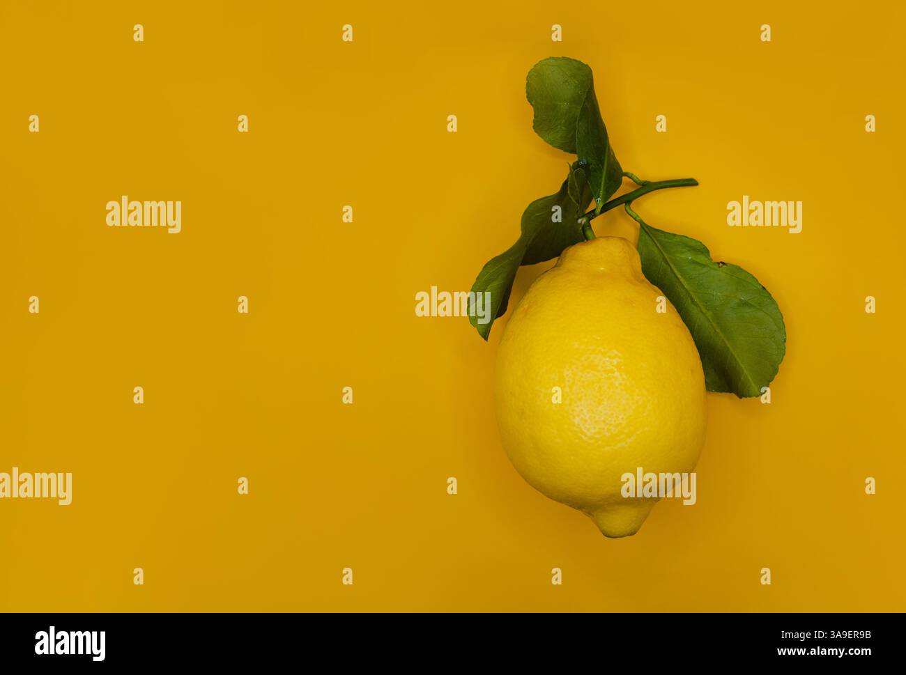 A fresh lemon with green leaves on a vibrant yellow background. Stock Photo